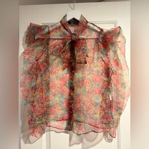 Zara Sheer Floral Blouse - Red and Blue
